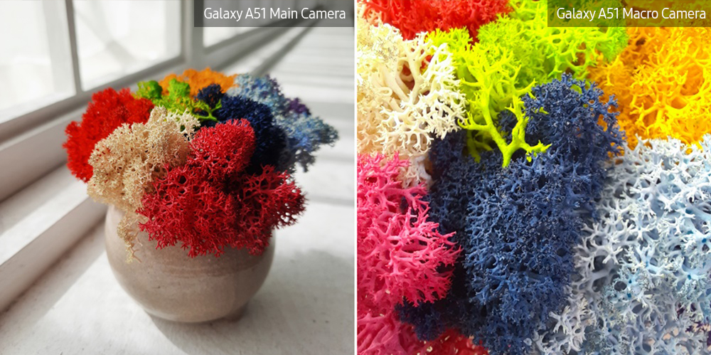 galaxy a51 macro lens plant