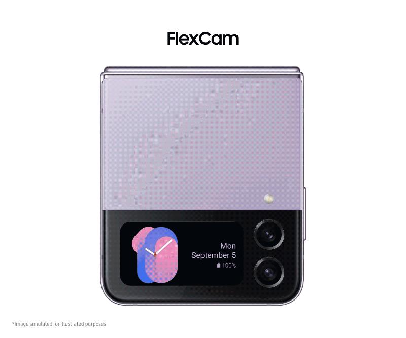 02_Flexcam.gif